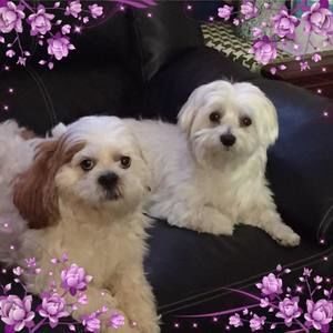 Meet your Posher, Gina